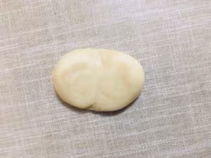 鮮肉月餅