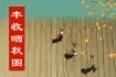 30歲的譚松韻為何還沒男朋友?看她的經歷,一般人確實還真配不上