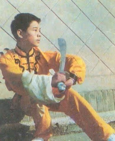 「功夫巨星」李連杰的「罪與罰」，當年多風光，如今就多落寞