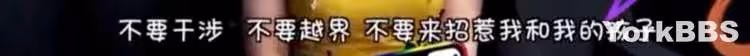 「史上最高調小三」被捕入獄!好美的臉 好醜的心
