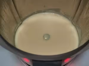 比炸牛奶更簡單的—烤牛奶