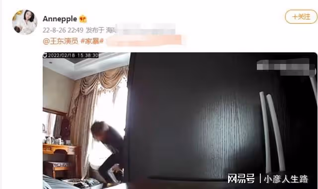 演員王東家暴妻子，發現監控後掐對方喉嚨，故意在女方懷孕時失蹤