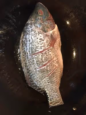 番茄🍅紅燒羅非魚