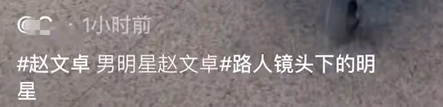 趙文卓一家現身機場，大女兒拎近3萬元包，身高已超媽媽長腿吸睛