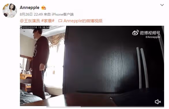 嚴重家暴妻子視頻曝光 王東回應：終於解脫了