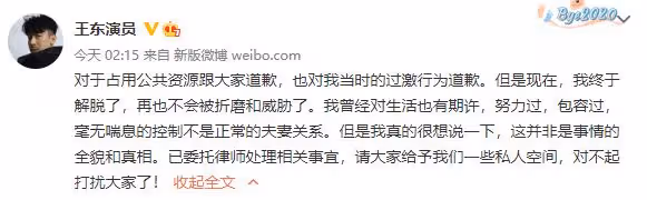嚴重家暴妻子視頻曝光 王東回應：終於解脫了