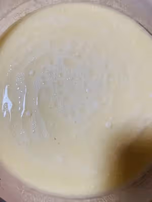 椰蓉冰皮月餅