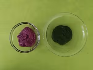 星球蛋黃酥