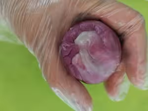 星球蛋黃酥