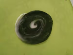 星球蛋黃酥