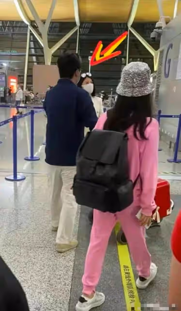 離婚後又一起生活,王岳倫李湘離婚時撕的多慘,如今就有多遷就!