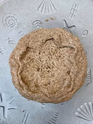 低糖高纖軟妹子——雜糧全麥吐司🍞