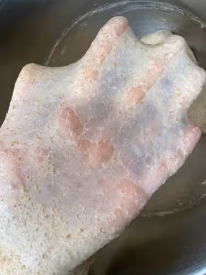 低糖高纖軟妹子——雜糧全麥吐司🍞