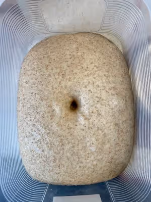 低糖高纖軟妹子——雜糧全麥吐司🍞