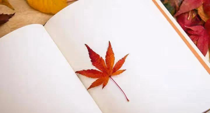 幸運之人，或許都有三分糊塗傻