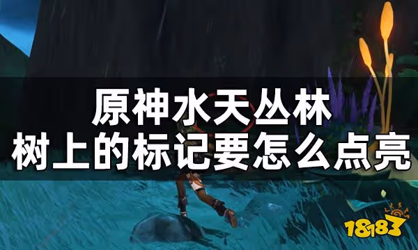 原神水天叢林7個印記解密方法 水天叢林樹上的標記要怎麼點亮