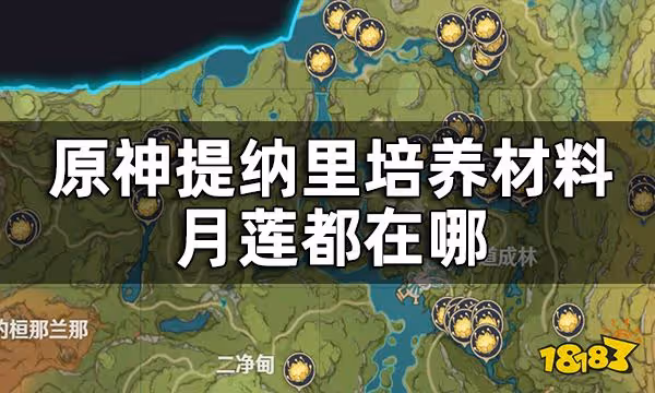 原神月蓮收集路線一覽 提納里培養材料月蓮都在哪