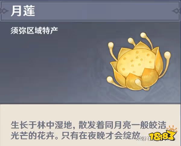 原神月蓮收集路線一覽 提納里培養材料月蓮都在哪
