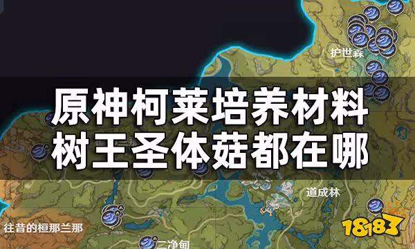 原神樹王聖體菇收集路線一覽 柯萊培養材料樹王聖體菇都在哪