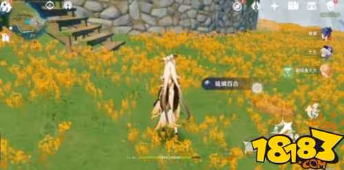 原神璃月的特產有哪些 原神璃月的特產介紹