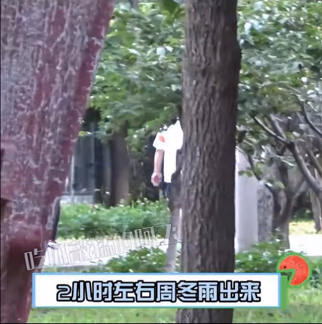 周冬雨攜爸媽逛公園，與繼父抓甲蟲相處融洽，30歲仍被當小孩照顧