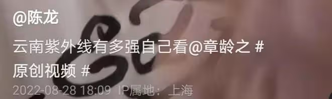 46歲陳龍近照大變樣,滿頭白髮鬍子拉碴,皮膚被曬脫皮模樣難辨認