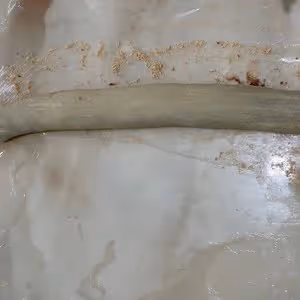 🥠涼了也不硬❗️軟糯驢打滾🔥