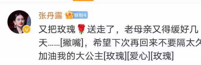 趙文卓發文慶祝大女兒上學,曬九宮格照滿是不舍,大女兒長腿吸睛