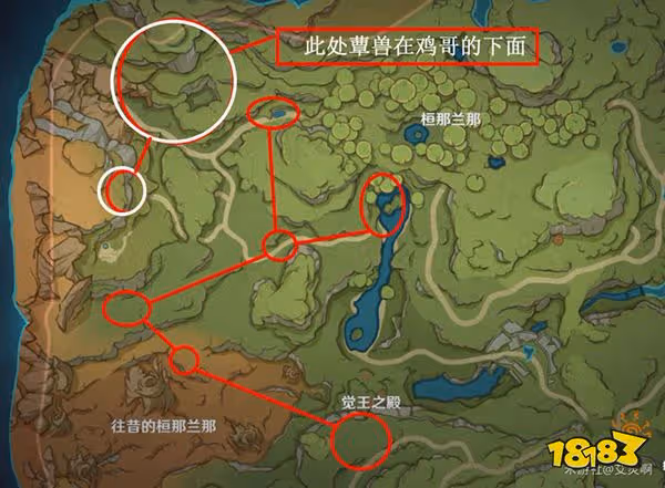 原神蕈獸位置路線一覽 須彌蕈獸都在哪