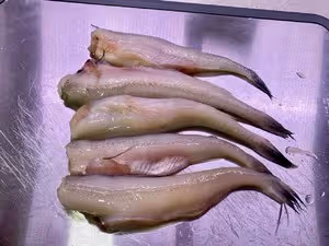椒鹽九肚魚（脆殼配方）