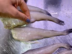 椒鹽九肚魚（脆殼配方）