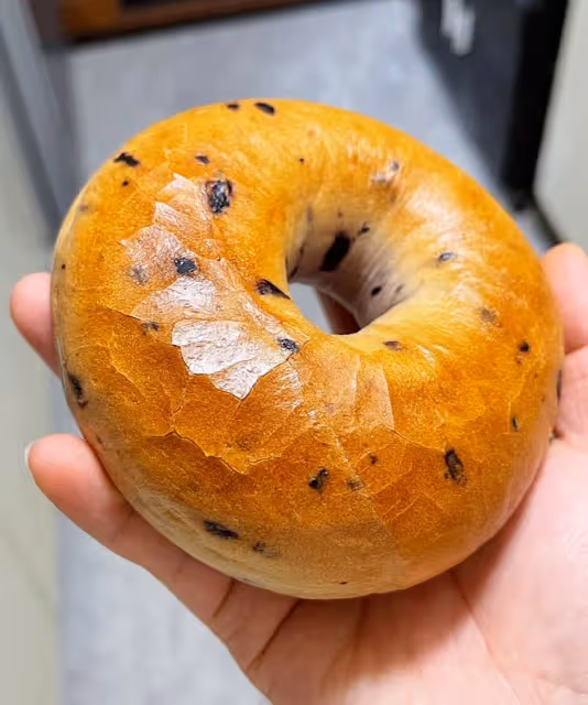 藍莓貝果 無糖無油（普通和全麥）
