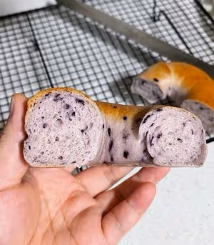 藍莓貝果 無糖無油（普通和全麥）