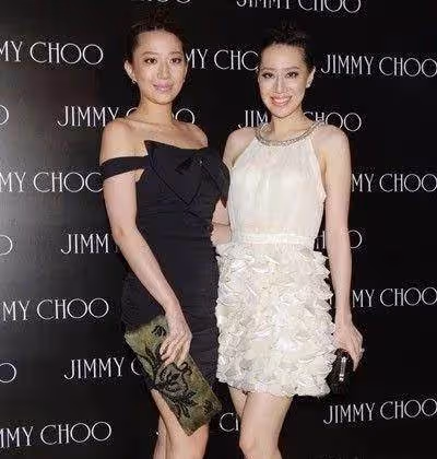 一個嫁功夫巨星，一個嫁百億豪門，成功靠婚姻從「偽名媛」變成了真豪門，網友：汪詩詩和汪圓圓的好命人生