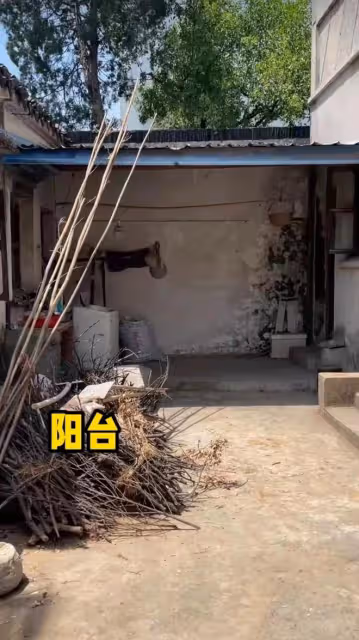 知名港星曬蘇州「豪宅」,大門氣派內景髒亂差,牆上長青苔還漏雨