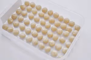 一口一個｜超可愛｜mini寶寶小老虎🐯小月餅