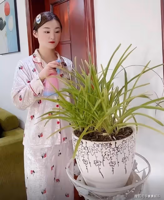 朱小偉婚期將至,陳亞男選擇隱藏起來,陳萌拍婚紗照花數萬元
