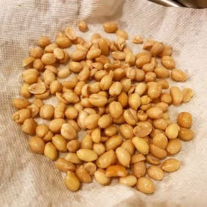 簡易版黃飛鴻麻辣花生（百分百成功）