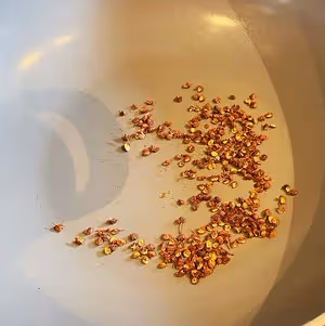 簡易版黃飛鴻麻辣花生（百分百成功）