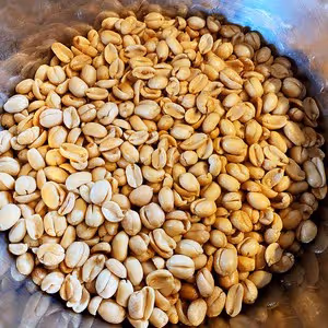 簡易版黃飛鴻麻辣花生（百分百成功）