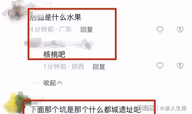 王艷戴百萬名表迎接秋天!豪宅頂部種核桃樹,站在陽台可望到故宮