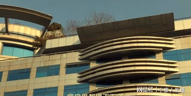 王艷戴百萬名表迎接秋天!豪宅頂部種核桃樹,站在陽台可望到故宮