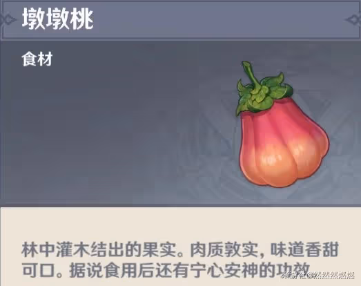 《原神》須彌植物用途介紹