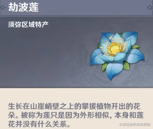 《原神》須彌植物用途介紹