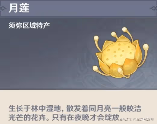 《原神》須彌植物用途介紹