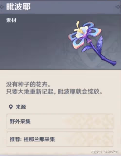 《原神》須彌植物用途介紹