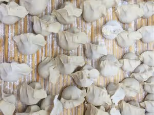 蘿蔔餡餃子（豬油渣版）
