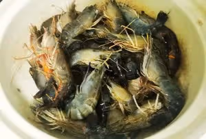 快手菜【台灣胡椒蝦】
