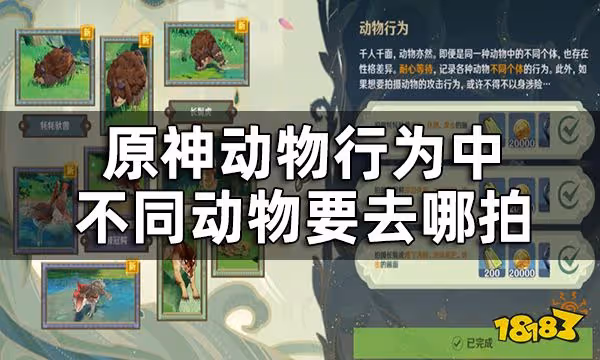 原神動物行為拍攝攻略一覽 動物行為中不同動物要去哪拍