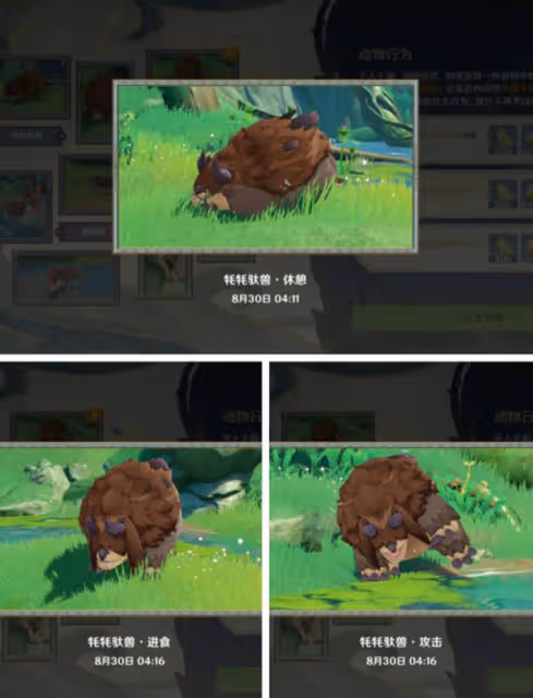 原神動物行為中不同動物拍攝地點 動物行為有哪些可以拍攝的動物